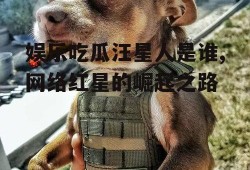 娱乐吃瓜汪星人是谁,网络红星的崛起之路