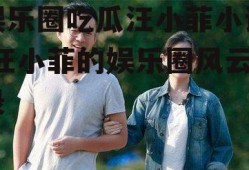 娱乐圈吃瓜汪小菲小说,汪小菲的娱乐圈风云录