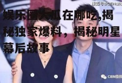 娱乐圈大瓜在哪吃,揭秘独家爆料，揭秘明星幕后故事