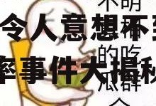 娱乐吃瓜酱小概率事件,那些令人意想不到的小概率事件大揭秘