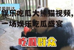 娱乐吃瓜大熊猫视频,一场娱乐吃瓜盛宴