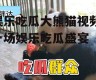 娱乐吃瓜大熊猫视频,一场娱乐吃瓜盛宴