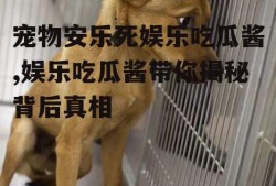 宠物安乐死娱乐吃瓜酱,娱乐吃瓜酱带你揭秘背后真相