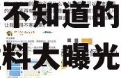 娱乐圈吃瓜猛料账号,那些你不知道的幕后真相与猛料大曝光