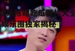 娱乐陈晓吃瓜图片大全,娱乐圈独家揭秘