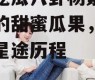 娱乐吃瓜八卦杨紫,娱乐圈的甜蜜瓜果，揭秘她的星途历程