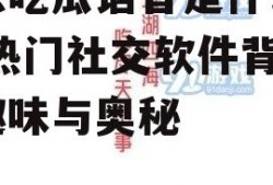 娱乐吃瓜语音是什么软件,热门社交软件背后的趣味与奥秘