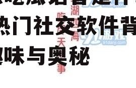 娱乐吃瓜语音是什么软件,热门社交软件背后的趣味与奥秘