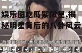 娱乐圈吃瓜紫微星,揭秘明星背后的八卦风云