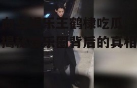 向上娱乐王鹤棣吃瓜,揭秘娱乐圈背后的真相
