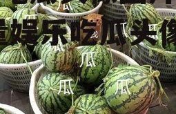 娱乐吃瓜头像图片大全,海量娱乐吃瓜头像大盘点