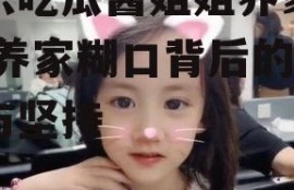 娱乐吃瓜酱姐姐养家糊口,养家糊口背后的辛酸与坚持