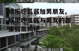 娱乐吃瓜酱加男朋友,娱乐吃瓜酱与男友的甜蜜日常揭秘