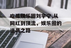吃瓜娱乐圈刘宇宁,从网红到顶流，娱乐圈的逆袭之路