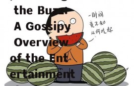 娱乐吃瓜酱英文怎么写,Unveiling the Buzz: A Gossipy Overview of the Entertainment Scene