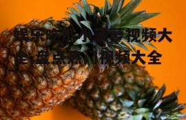 娱乐吃瓜小菠萝视频大全,盘点热门视频大全