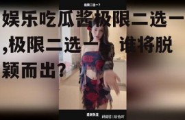 娱乐吃瓜酱极限二选一,极限二选一，谁将脱颖而出？