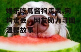 娱乐吃瓜酱狗走丢,狗狗走丢，网友助力寻回温馨故事
