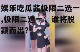娱乐吃瓜酱极限二选一,极限二选一，谁将脱颖而出？
