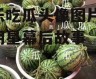 娱乐吃瓜头像图片,揭秘明星幕后故事