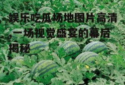 娱乐吃瓜场地图片高清,一场视觉盛宴的幕后揭秘