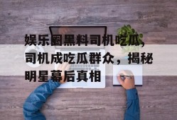 娱乐圈黑料司机吃瓜,司机成吃瓜群众，揭秘明星幕后真相