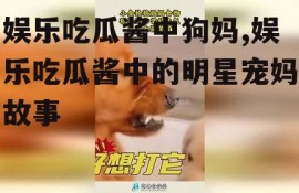 娱乐吃瓜酱中狗妈,娱乐吃瓜酱中的明星宠妈故事