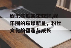 娱乐吃瓜酱宋亚轩,娱乐圈的璀璨新星，粉丝文化的塑造与成长