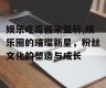 娱乐吃瓜酱宋亚轩,娱乐圈的璀璨新星，粉丝文化的塑造与成长