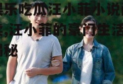 娱乐吃瓜汪小菲小说阅读,汪小菲的豪门生活揭秘