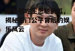 娱乐圈吃王思聪的瓜,揭秘豪门公子背后的娱乐风云