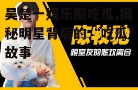 吴楚一娱乐圈吃瓜,揭秘明星背后的“吃瓜”故事
