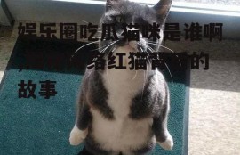 娱乐圈吃瓜猫咪是谁啊,揭秘网络红猫背后的故事