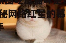 娱乐圈吃瓜猫咪是谁呀,揭秘网络红星的幕后推手