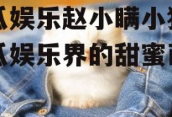 吃瓜娱乐赵小瞒小猫,吃瓜娱乐界的甜蜜萌宠