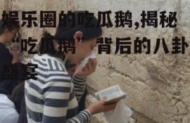 娱乐圈的吃瓜鹅,揭秘“吃瓜鹅”背后的八卦盛宴