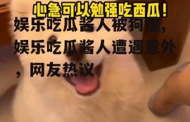 娱乐吃瓜酱人被狗撞,娱乐吃瓜酱人遭遇意外，网友热议