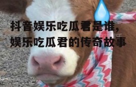 抖音娱乐吃瓜君是谁,娱乐吃瓜君的传奇故事