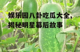 娱乐园八卦吃瓜大全,揭秘明星幕后故事