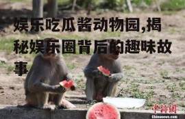 娱乐吃瓜酱动物园,揭秘娱乐圈背后的趣味故事