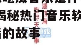 娱乐吃瓜音乐是什么软件,揭秘热门音乐软件背后的故事