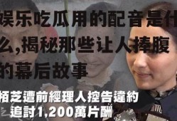 娱乐吃瓜用的配音是什么,揭秘那些让人捧腹的幕后故事