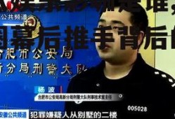 吃瓜娱乐影咖是谁,娱乐圈幕后推手背后的故事