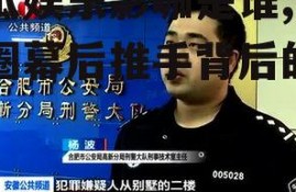 吃瓜娱乐影咖是谁,娱乐圈幕后推手背后的故事