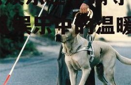吃瓜娱乐赵小瞒导盲犬,吃瓜娱乐中的温暖瞬间