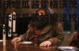 娱乐吃瓜酱霍格沃茨,娱乐吃瓜酱的魔法校园日常