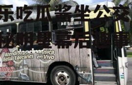 娱乐吃瓜酱坐公交车,揭秘明星幕后趣事