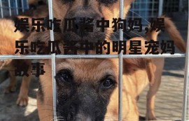 娱乐吃瓜酱中狗妈,娱乐吃瓜酱中的明星宠妈故事