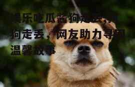 娱乐吃瓜酱狗走丢,狗狗走丢，网友助力寻回温馨故事