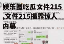 娱乐圈吃瓜文件215,文件215揭露惊人内幕